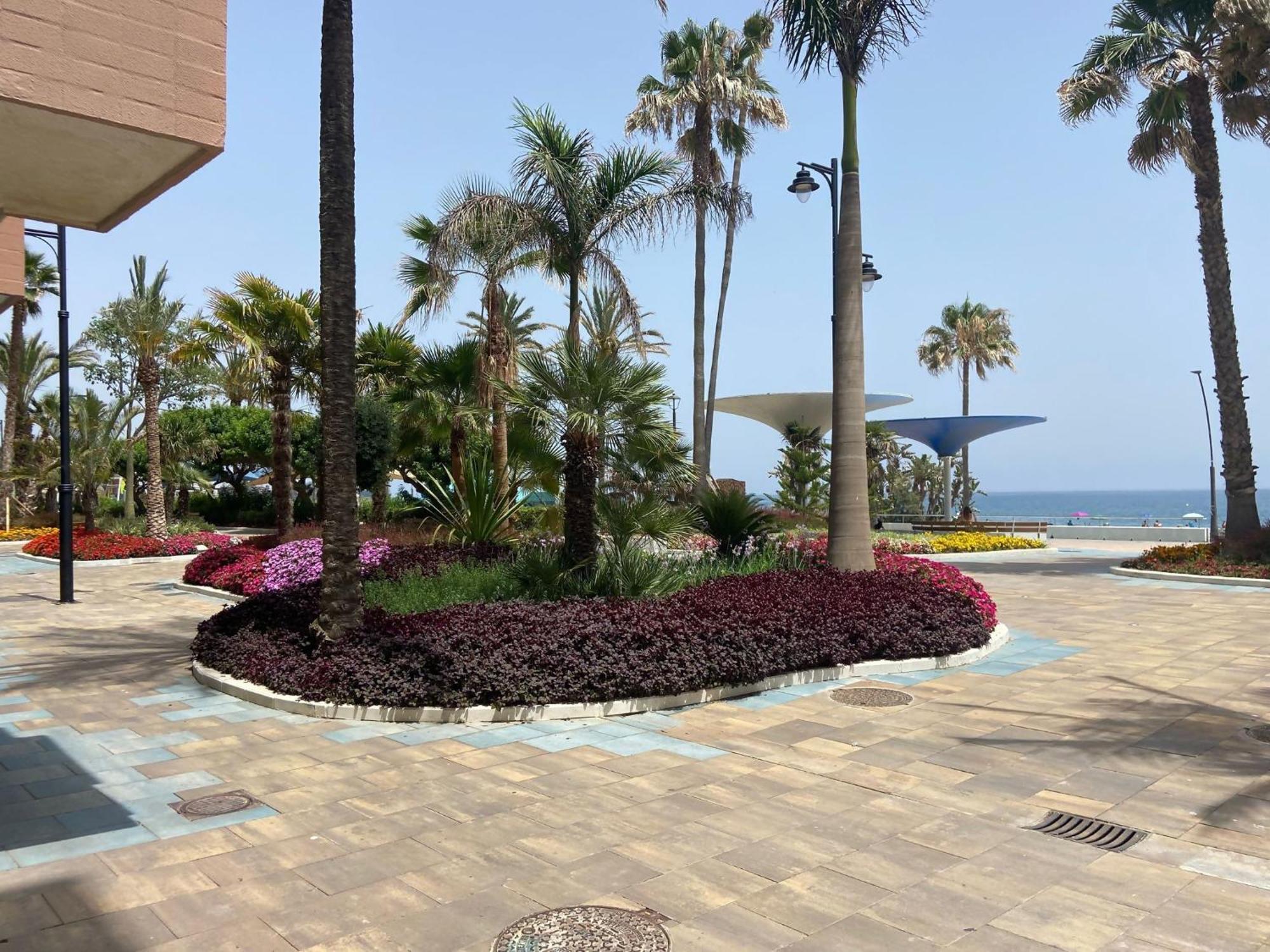 Victoria Home & Parking Estepona Bagian luar foto